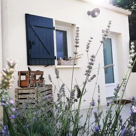 Le Cocon Des Marais * Champagne-les-Marais